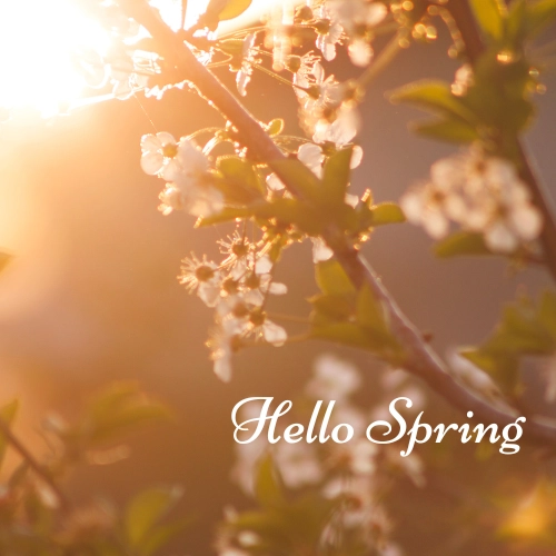 ПАКЕТ "ПРОЛЕТ"